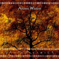 Psicodreamics - Forest Heartbeat