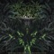 Keeper of the Plaguelands - Annotations of an Autopsy lyrics