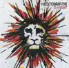 NEEDTOBREATHE - Don't Wait for Daylight