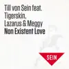 Non Existent Love