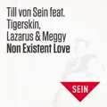 Non Existent Love