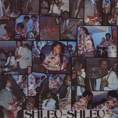 LES SHLEU SHLEU - TROU CRABE (1975)