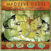 Robbie J (Soweto Vibe) - Madzeve Dzeve