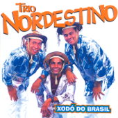 Mulher Rendeira