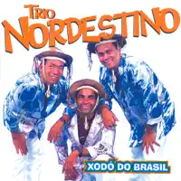 Procurando Tu