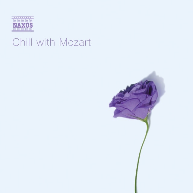 String Quintet in D major, K. 593: Larghetto - Allegro