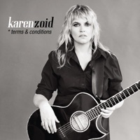 Terms & Conditions - Karen Zoid