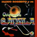 VIOLENCIA