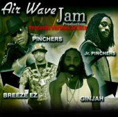 Air Wave Jam Production Presents Various Artists