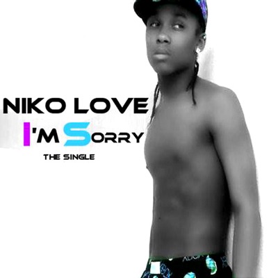 I'm Sorry - Single