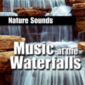 Cover art for Lost In Ourselves - Steady Waterfall for Meditation by Nature Sounds