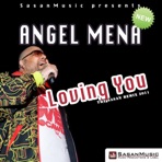 Loving You (Sasan Remix 2011) - Single