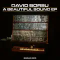 Beautiful Sound