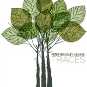 Peter Bradley Adams - For You