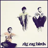 Bump In the Night — Zig Zag Birds