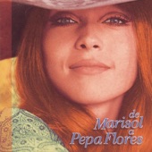 De Marisol a Pepa Flores artwork