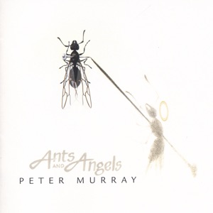 Ants and Angels