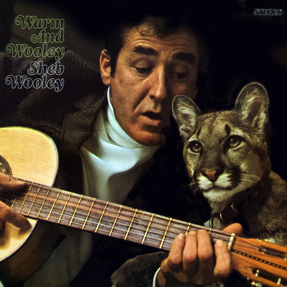 Обложка альбома «Warm and Wooley» — Sheb Wooley