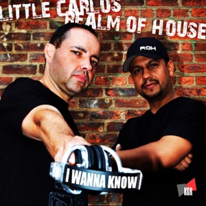 I Wanna Know - Single