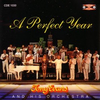 A Perfect Year - Tony Evans and His Orchestra