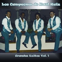 Los Campeones de Raul Ruiz - Ahora