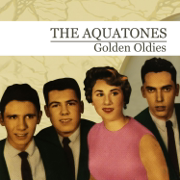 You - The Aquatones