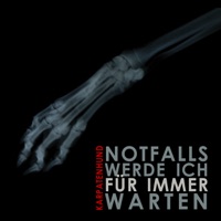 Karpatenhund - Notfalls werde ich für immer warten