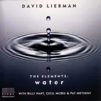 Water: Giver of Life (Featuring Pat Metheny) — David Liebman featuring Pat Metheny