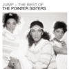 The Pointer Sisters - I'm So Excited artwork
