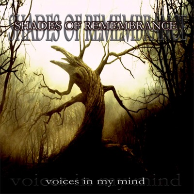 Voices In My Mind