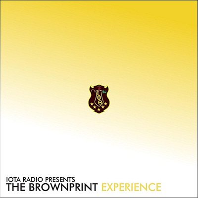 The BrownPrint Experience