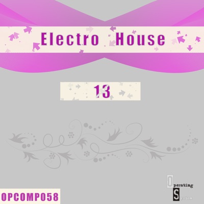Electro House (13)