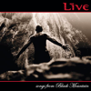 LIVE - The River artwork