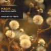 Ti&euml;sto - Magik Three (Far from Earth) artwork