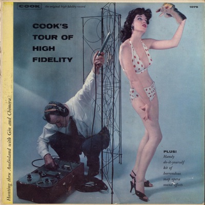 Cook's Tour of High Fidelity