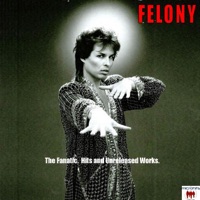 Felony - The Fanatic