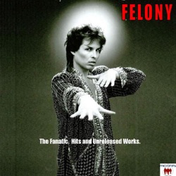 Felony - Positively Negative