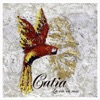 Catia - A Menina Dança