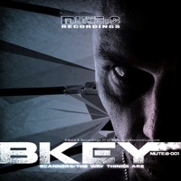 Scanners / the Way Things Are - Single - Bkey