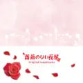 shop without the rose