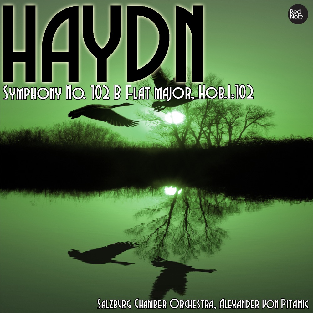 Обложка альбома «Haydn: Symphony No. 102 B Flat major, Hob.I:102» — Salzburg Chamber Orchestra & Alexander von Pitamic