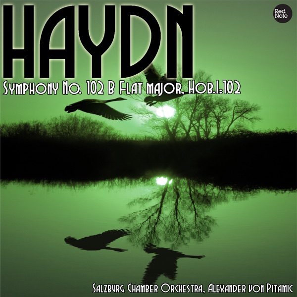 Haydn: Symphony No. 102 B Flat major, Hob.I:102