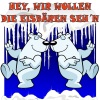 Hey, wir wollen die Eisbären seh'n