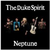 The Duke Spirit