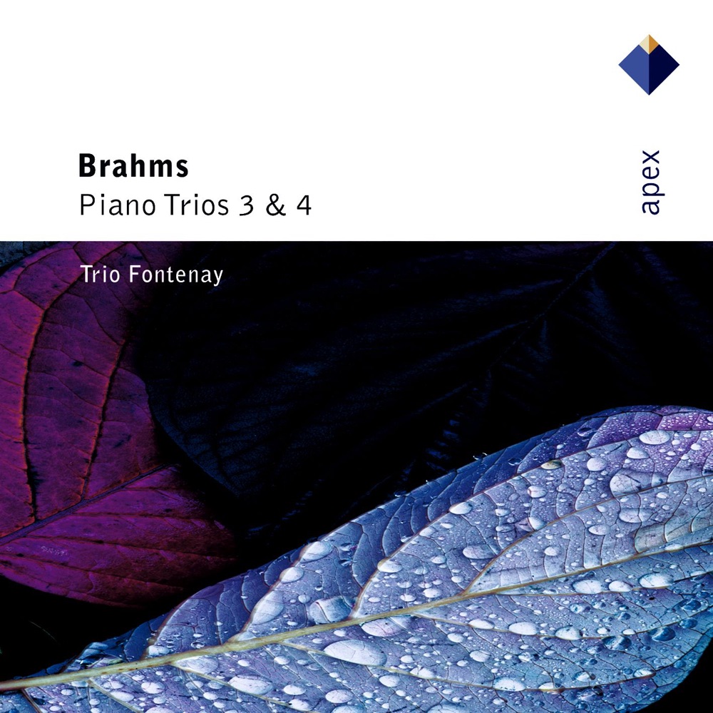 Обложка альбома «Brahms: Piano Trios Nos. 3 & 4» — Trio Fontenay