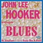 John Lee Hooker - Devil’s Jump