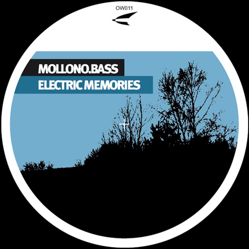 Electric Memories