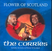 Flower of Scotland artwork