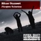 Blue Sunset (Ezequiel Marotte Remix) - Jürgen Scheinz lyrics