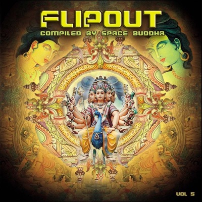 Flip Out Vol. 5 - Compiled By Space Buddha